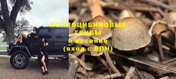 Альфа ПВП Алексеевка