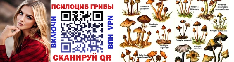 Псилоцибиновые грибы Psilocybe  Каменск-Уральский 